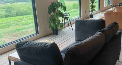 Come Spring Farm Airstream , Lake & farm animals