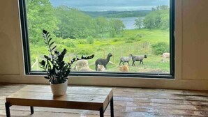 Een kamer met een groot raam dat uitkijkt op een grasveld met schapen. In de voorgrond staat een houten tafel en een stoel.