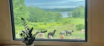 Come Spring Farm Airstream , Lake & farm animals