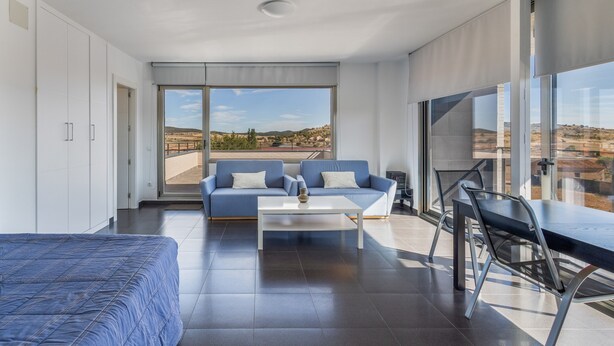 A modern room with a bed, a sofa, a coffee table, and a dining table.