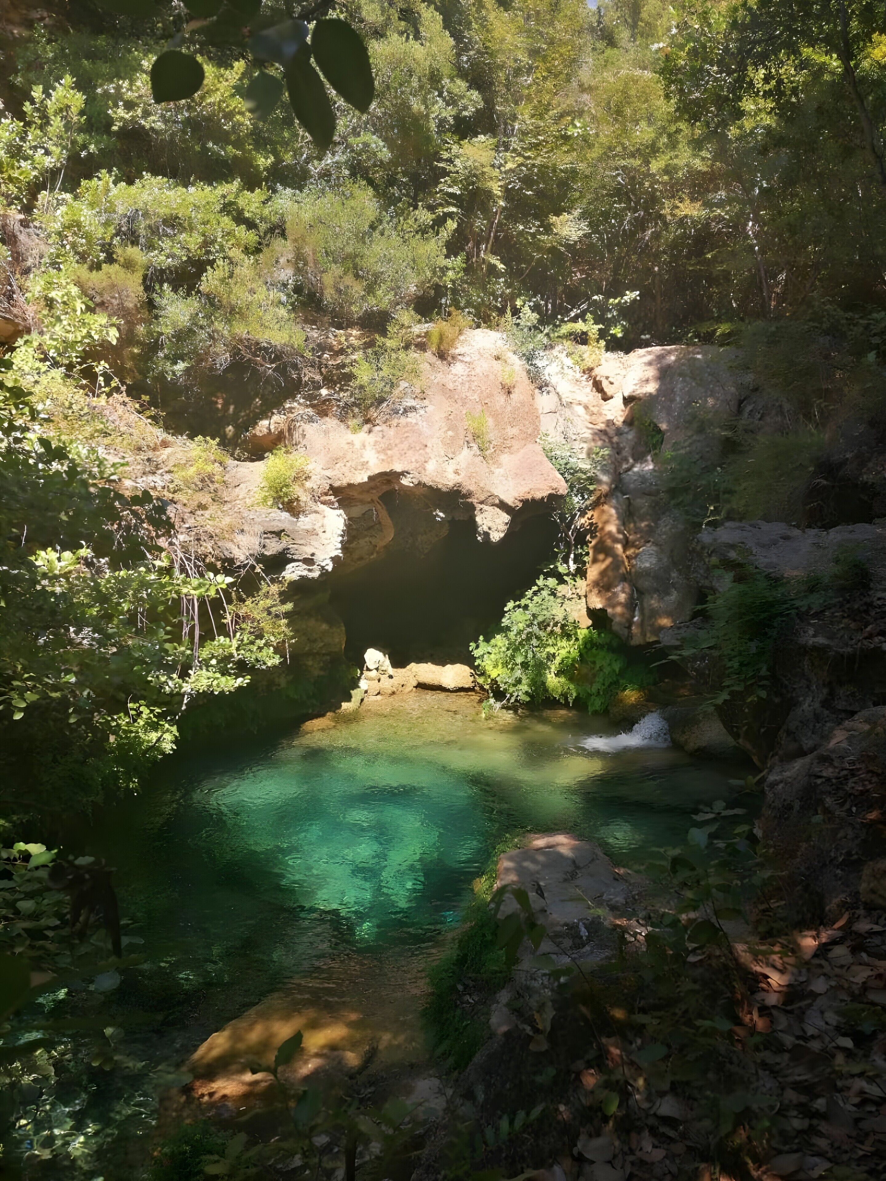 Entrada natural a una cueva con una piscina de agua cristalina rodeada de follaje.
