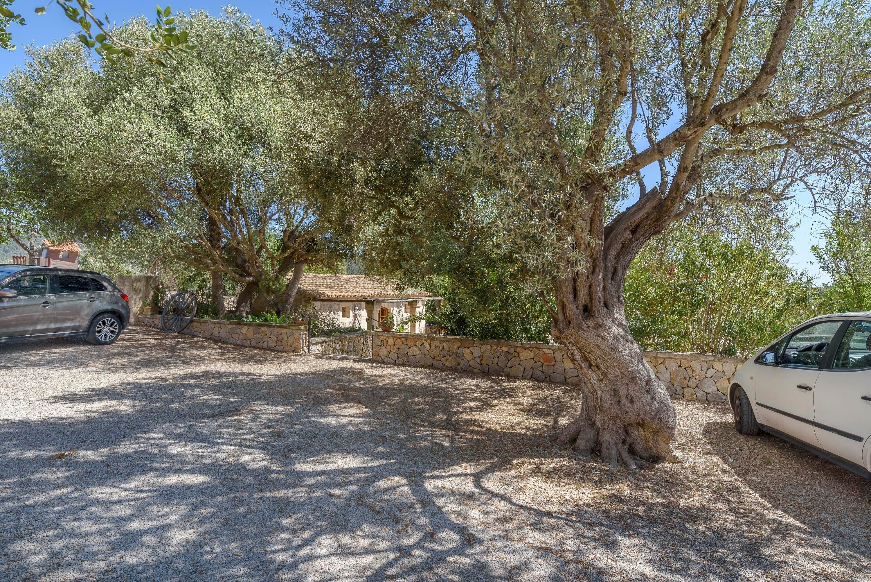 Terrein van de accommodatie