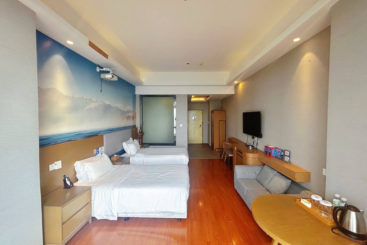 Executive Twin Room, City View | View from room
