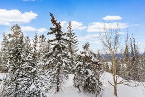 A snowy landscape with evergreen trees and a clear blue sky. - Rr49b3 (Breckenridge)