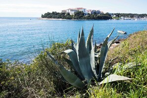 A coastal landscape with a large agave plant in the foreground, a body of water, and a distant building complex on a hill. - Apartments Pjescana Uvala/istrien 11044 (Medulin)