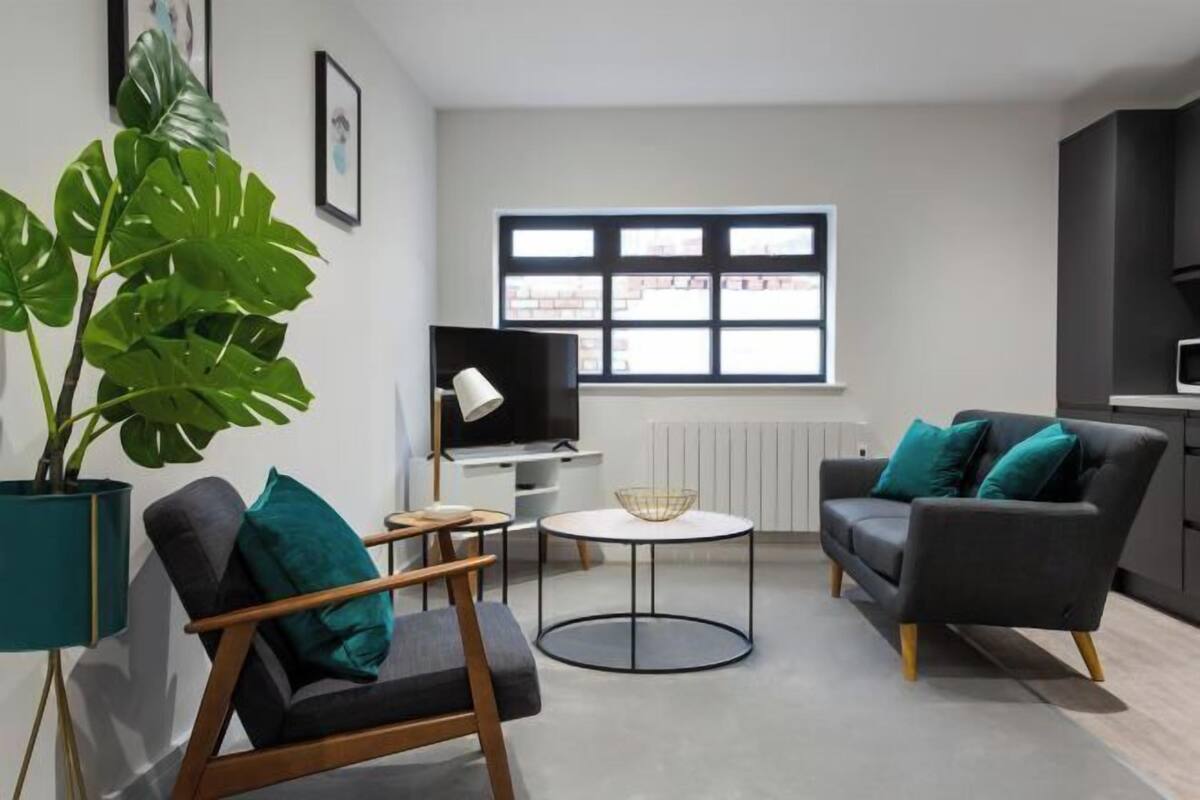 Un salon moderne avec un canapé, un fauteuil et une grande plante en pot.