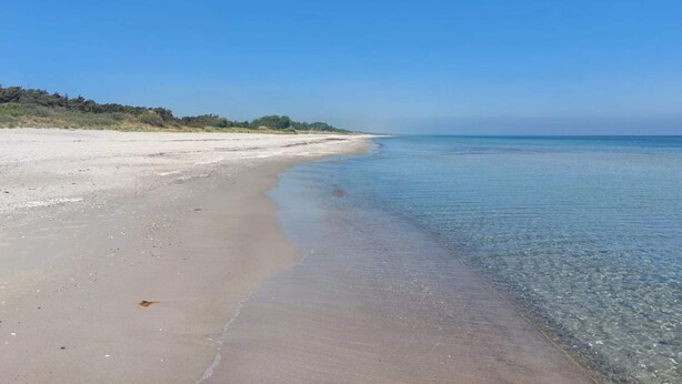 A wide sandy beach with clear blue water and a distant tree line. - 5 Star Holiday Home in Vaeggerlose (Vaeggerlose)