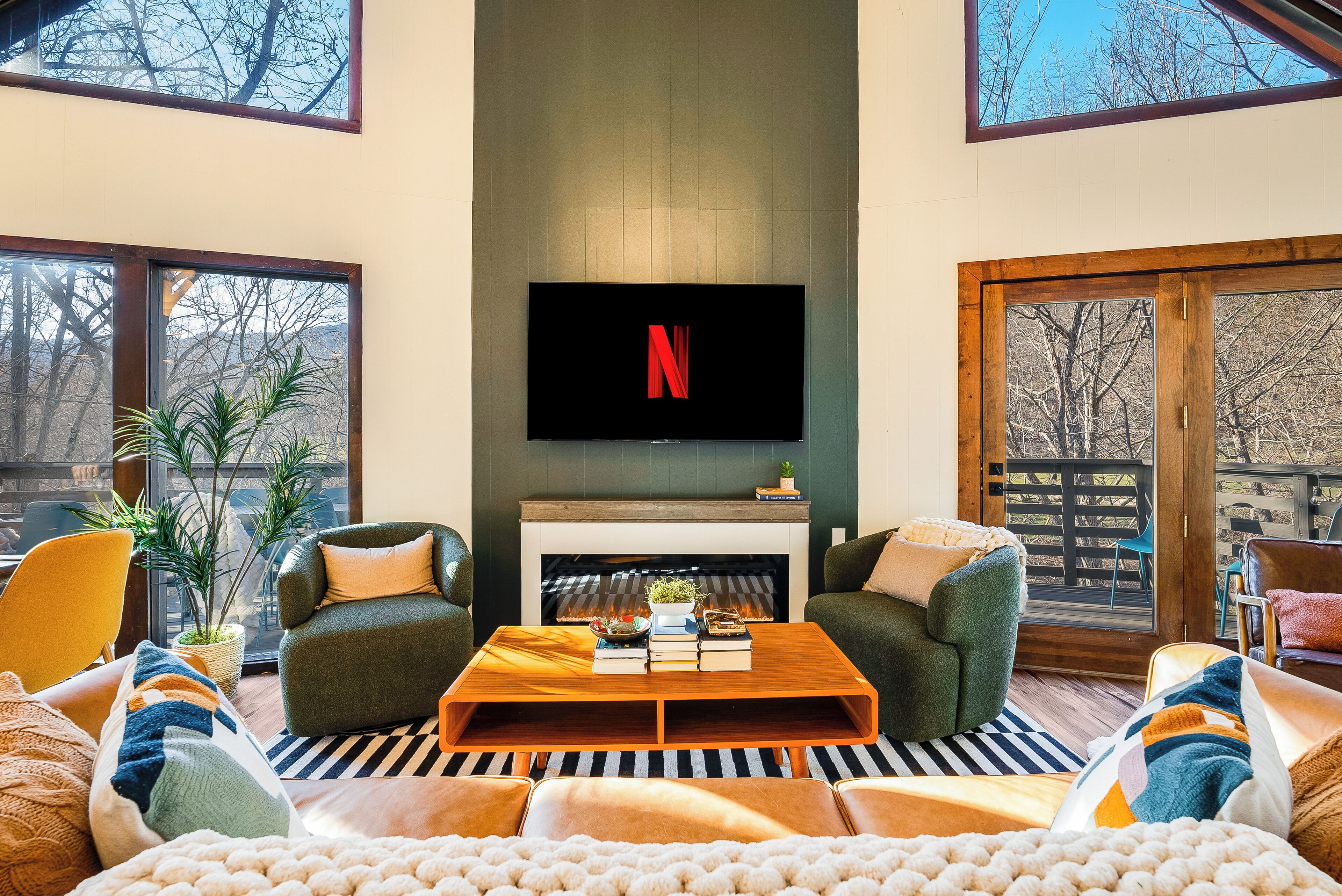 Smart TV, lareira, videogames, livros