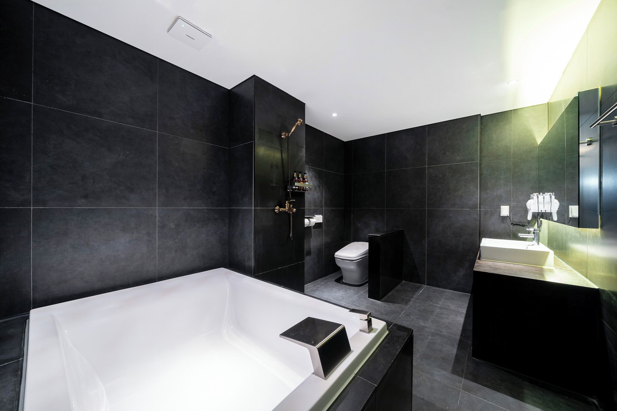 Hair dryer, slippers, towels, shampoo