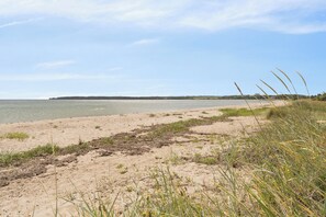 Una playa con arena, césped y una costa lejana.