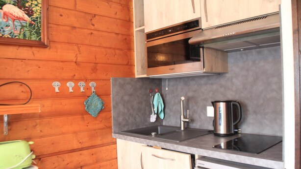 A kitchen with wooden walls, a stainless steel sink, a kettle, and a toaster. - Veronica Vr79 Nature & Mountain 3 Pers (Chatel)