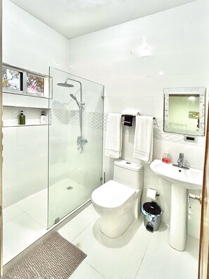 A modern bathroom with a glass-enclosed shower, a toilet, a sink, and a mirror.