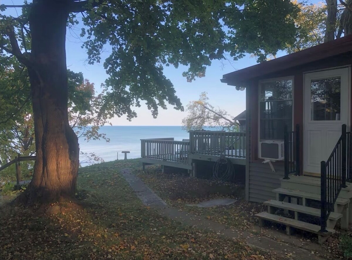 Värdens profilbild