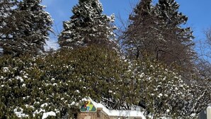 Paisaje nevado con un muro de piedra que muestra la palabra "SUNRIDGE".