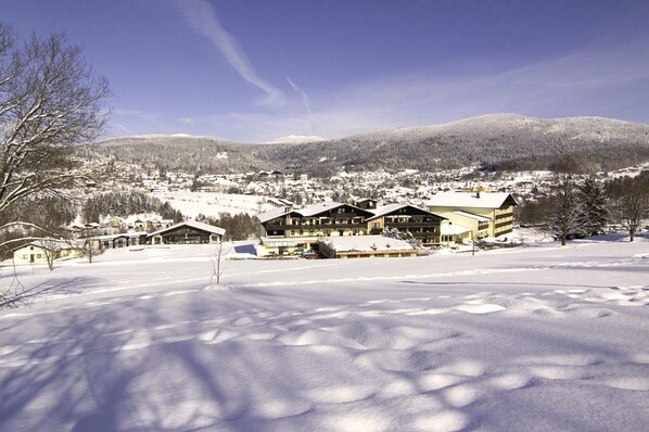 View from property - Apartment in Bodenmais Near Grosser Arber (Bodenmais)