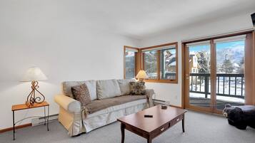 Smart TV, fireplace, books