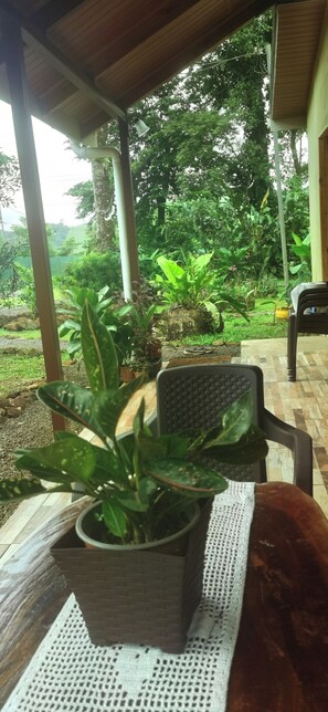 Terras