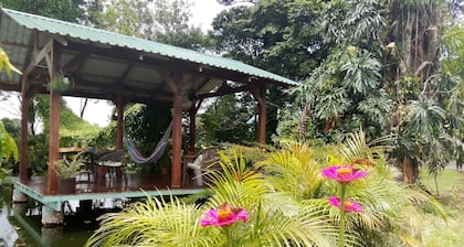 Tucan Greenhousen Loft ofrece estancia confortable, rodeado de naturaleza y paz