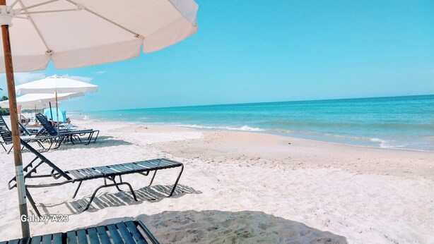 Ein Strand mit weißen Sonnenschirmen und Liegestühlen, einem klaren, blauen Himmel und ruhiger See.