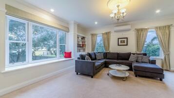 TV, fireplace, books