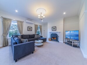 TV, fireplace, books