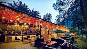 Aperto a colazione e pranzo, cucina indiana, con vista sul giardino 