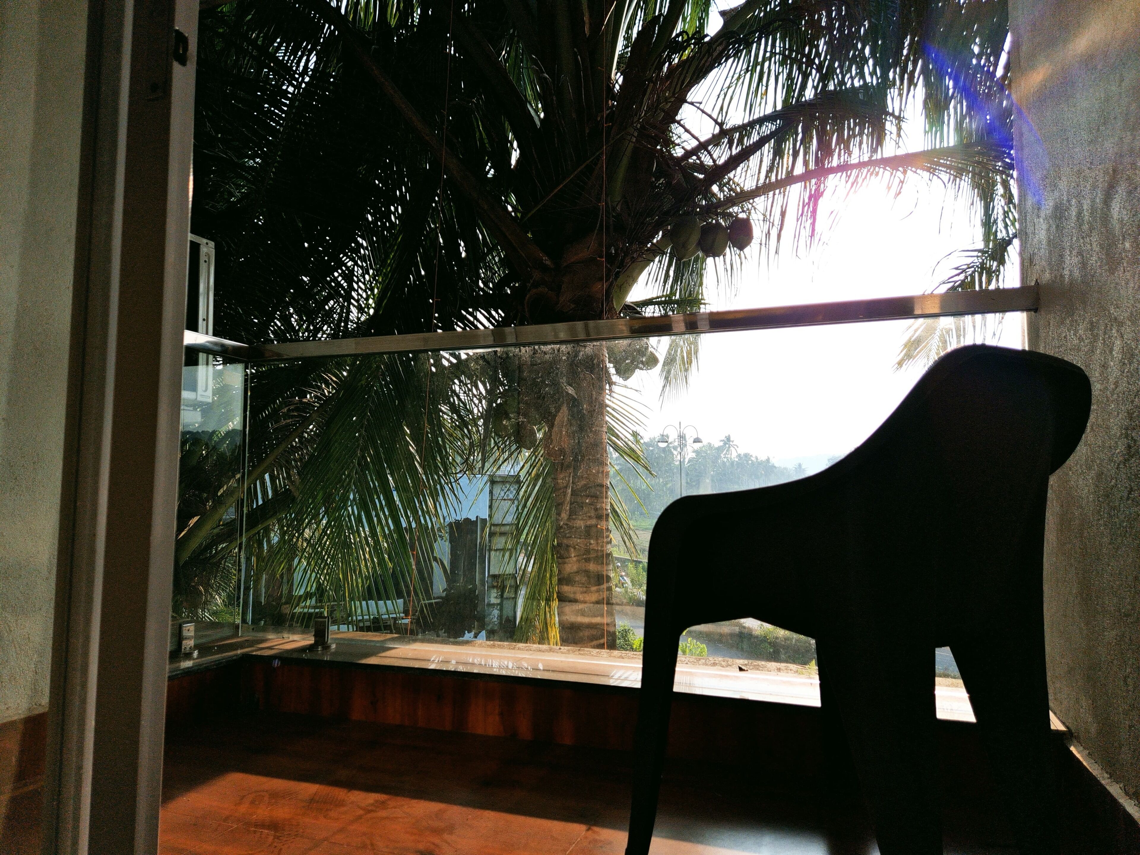 A room with a large window overlooking a palm tree and a view of the sky.