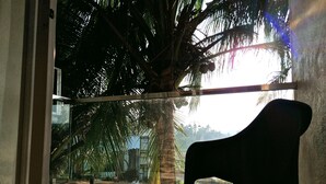 A room with a large window overlooking a palm tree and a view of the sky.