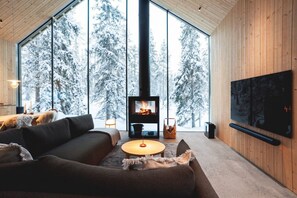 Televisión, chimenea, estéreo