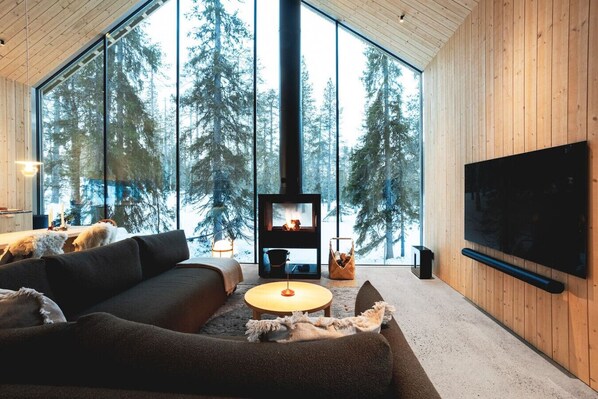 TV, fireplace, stereo
