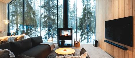Fernseher, Kamin, Stereoanlage