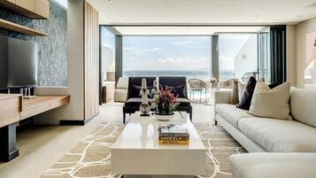 TV, fireplace, offices