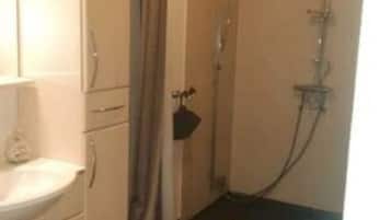 Shower, towels, toilet paper