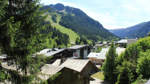 A village with traditional wooden houses, surrounded by lush green hills and dense forests. - Voinettes Vnb8 Telecabine & Mountain 4 Pers (Chatel)