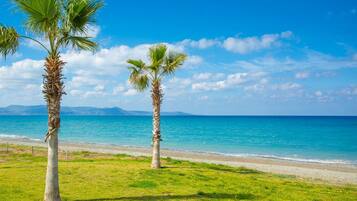 A beach with palm trees and a clear blue sky.
