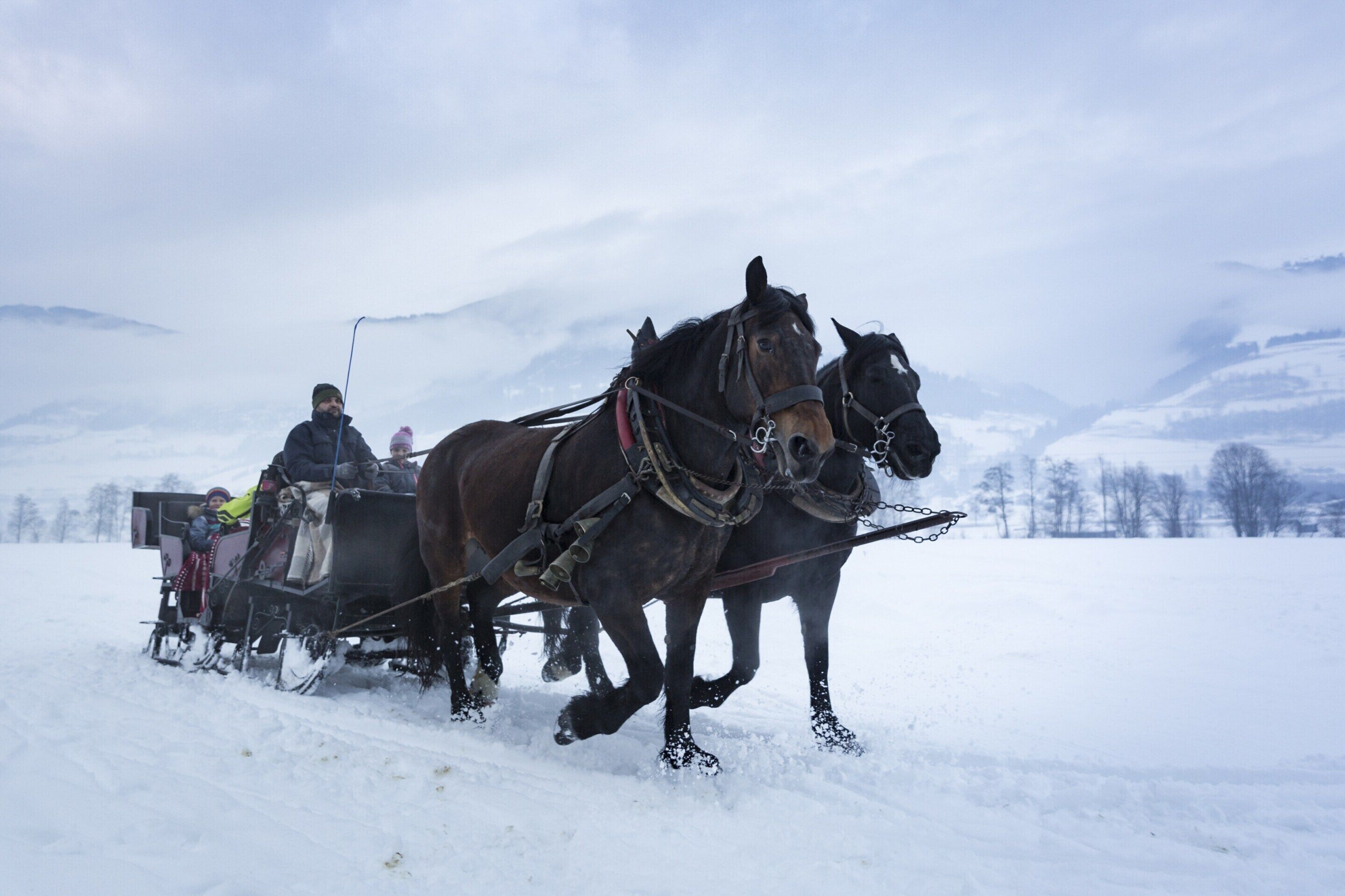 A horse-drawn sleigh moving through a snowy landscape.