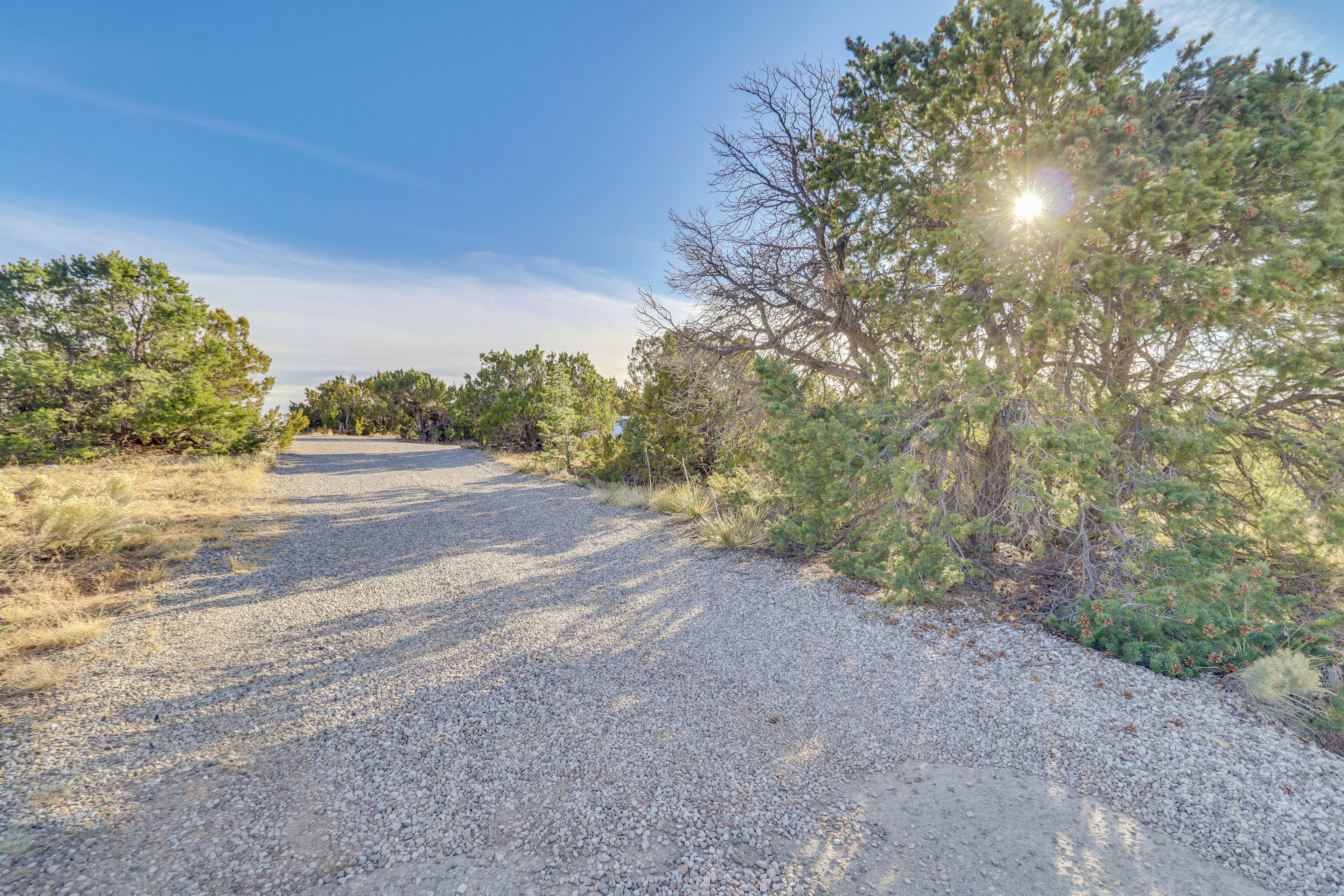 A gravel road flanked by trees and shrubs, leading to a distant horizon.