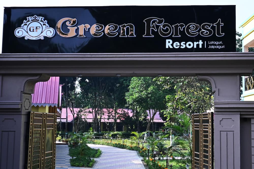 Green Forest Resort