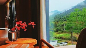 엘리트 트리플룸, 산 전망 | 테라스/파티오