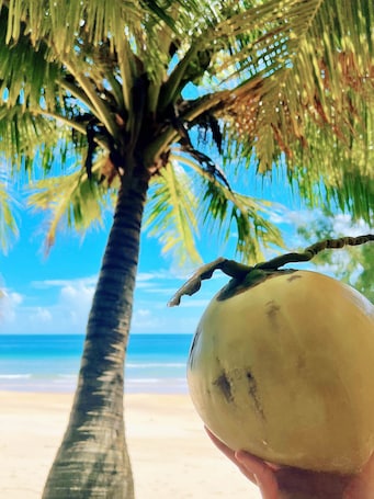 Vista desde la propiedad