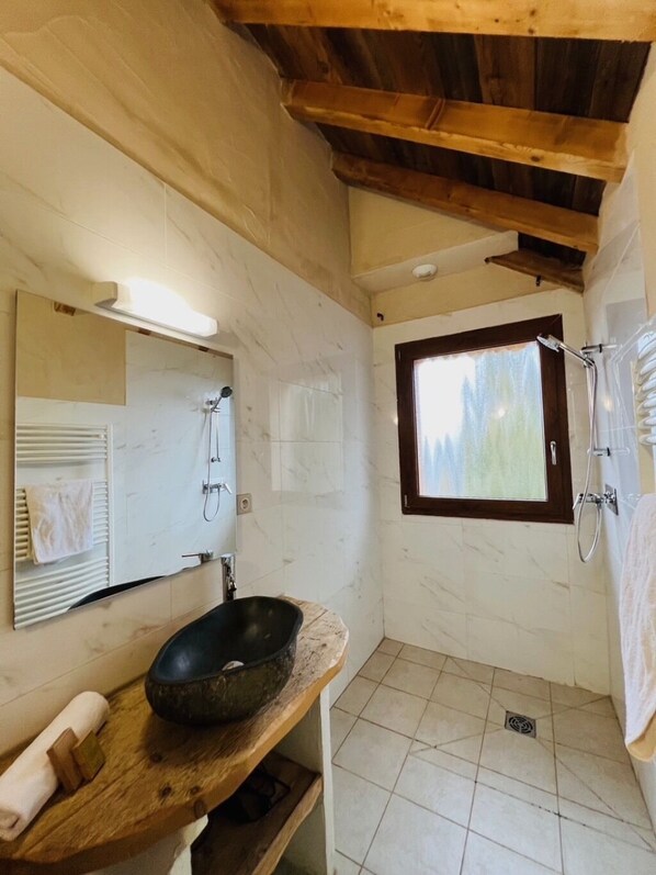 Shower, hair dryer, towels