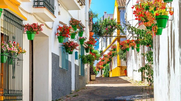 Una calle estrecha flanqueada por edificios, algunos con balcones decorados con macetas colgantes.