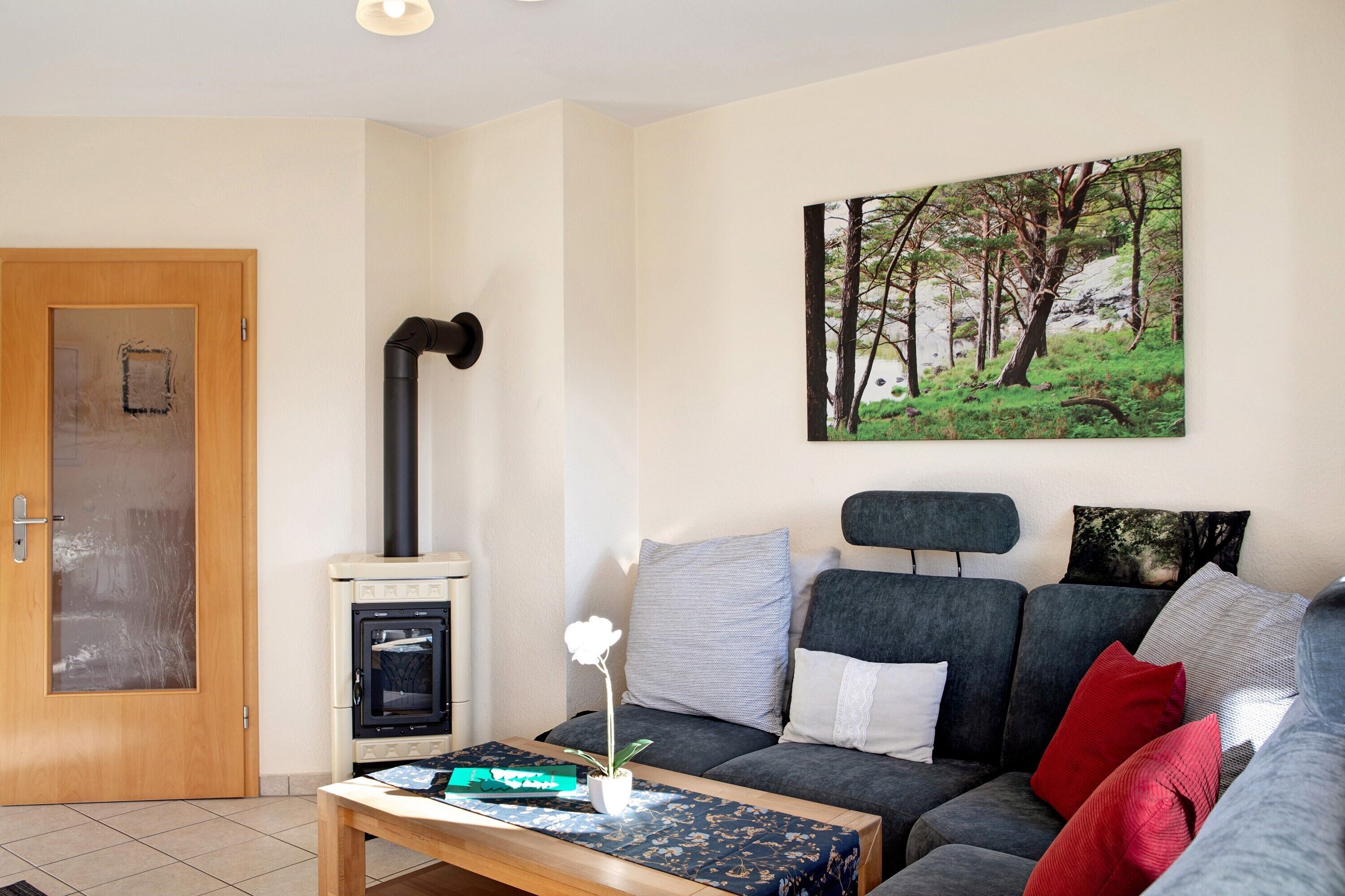 Télévision, cheminée, lecteur de DVD, chaîne hi-fi