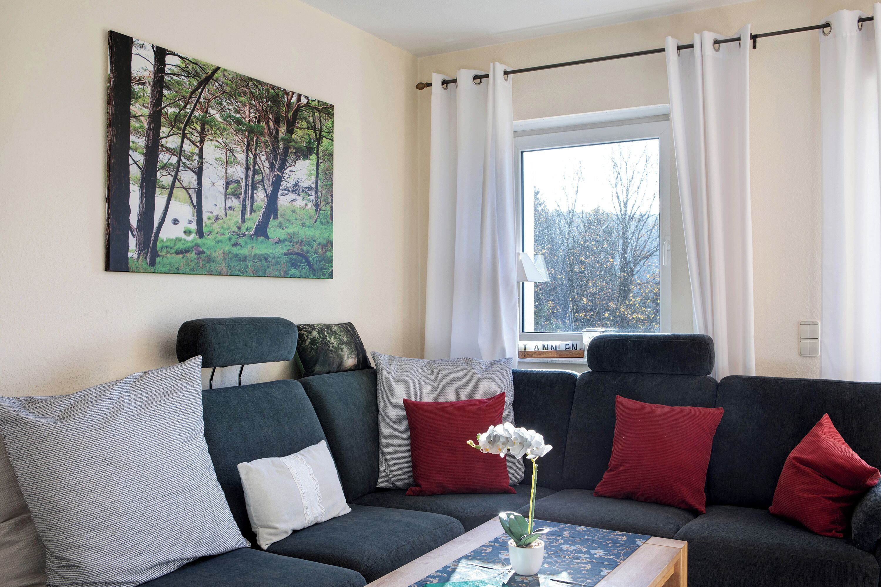 Televisio, takka, DVD-soitin, stereot