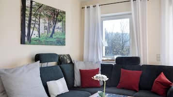 Televisio, takka, DVD-soitin, stereot