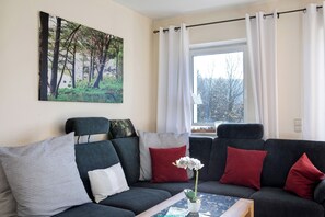 TV, fireplace, DVD player, stereo