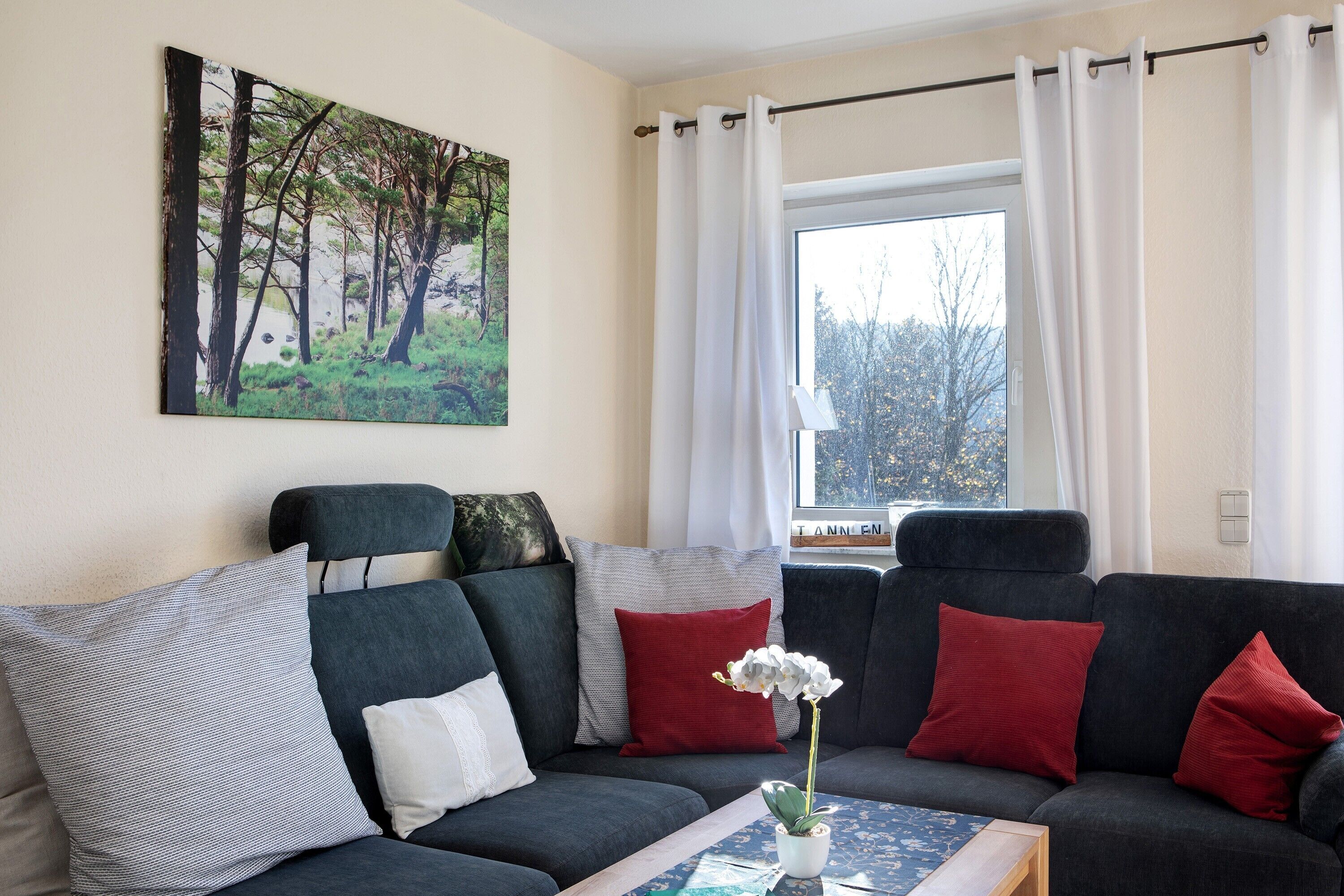 TV, fireplace, DVD player, stereo