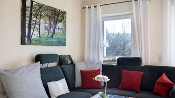 TV, fireplace, DVD player, stereo