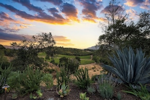 Property grounds - Kenwood Vista by AvantStay | 7acres w/ Pool, Fire Pit, Vineyard Views (Kenwood)