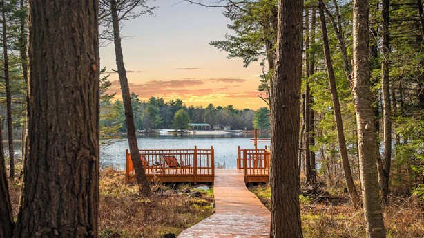 Un sentiero di legno che conduce a un pontile su un lago, circondato da alberi.